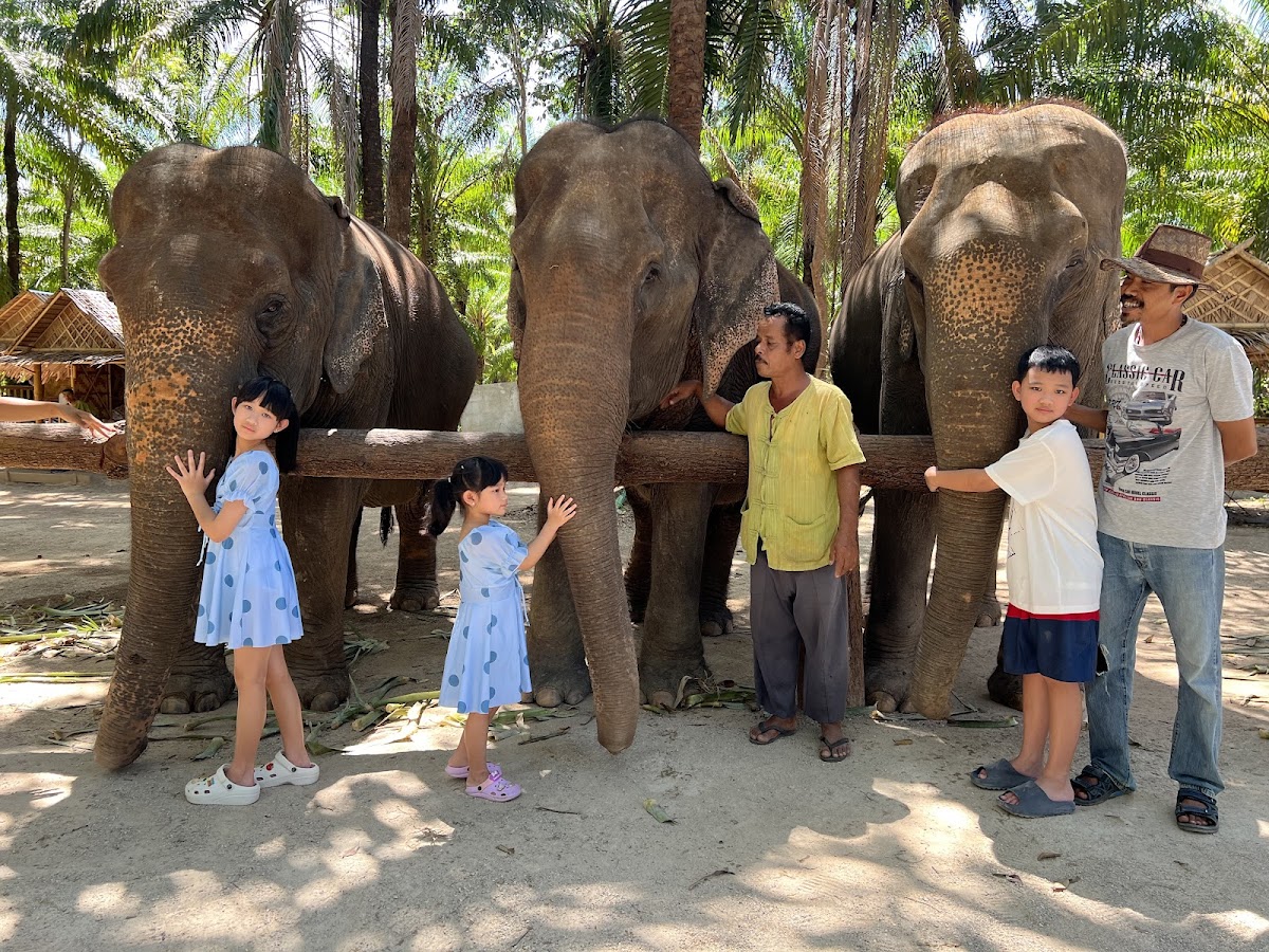 Krabi Elephant Shelter