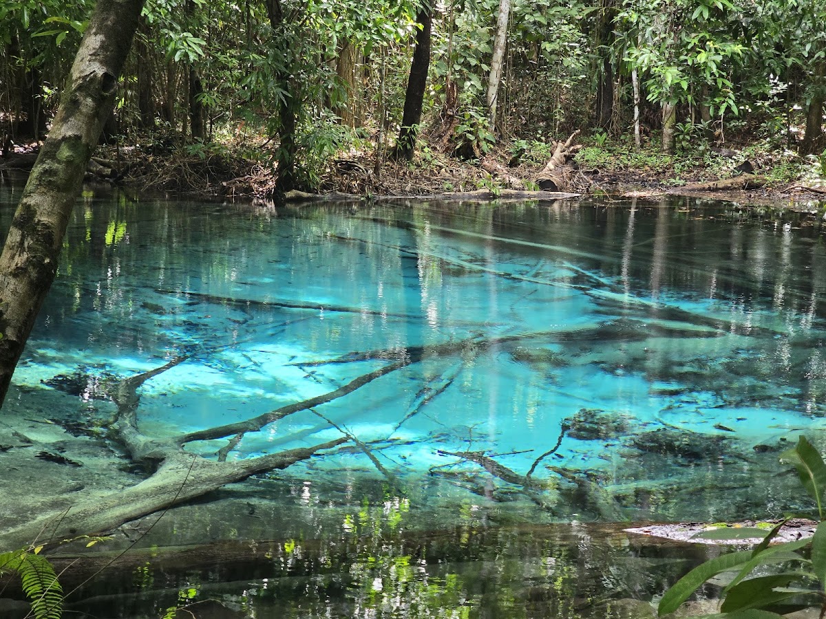 Emerald Pool