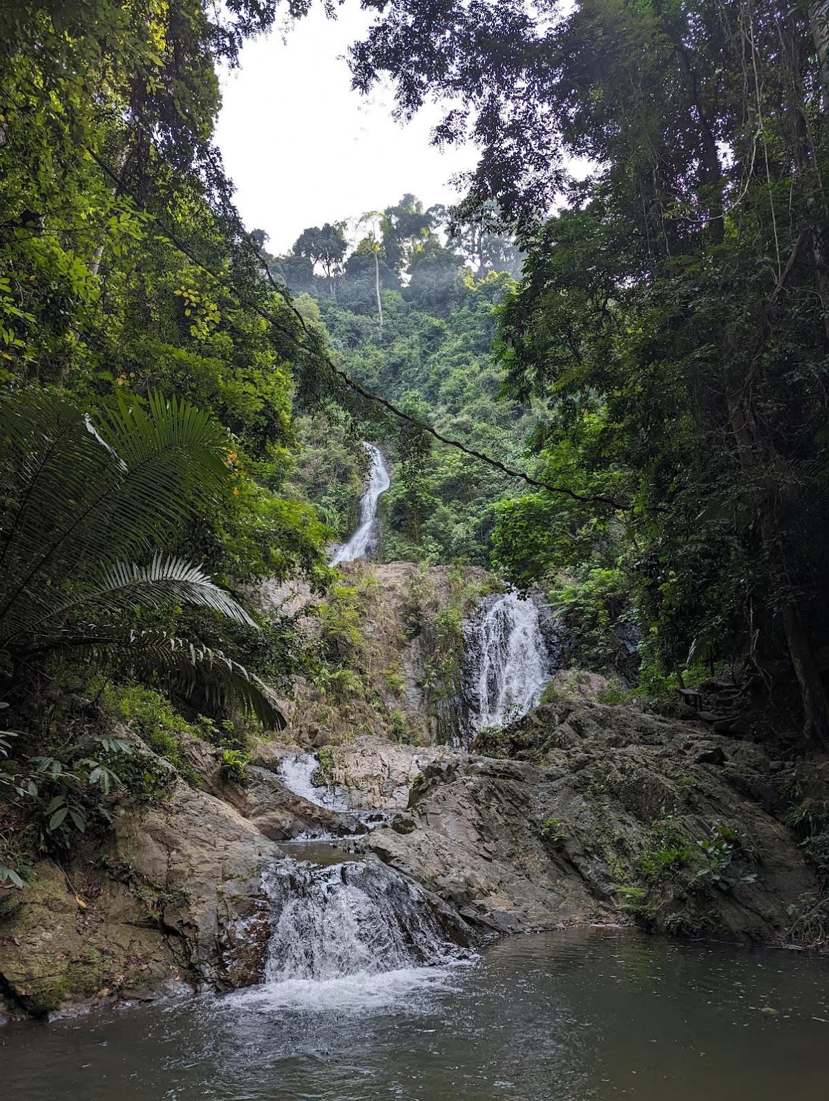 Khao Phanom Bencha National Park