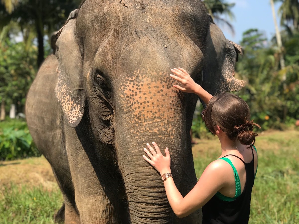 Ao Nang Elephant Sanctuary Krabi (Booking is needed)