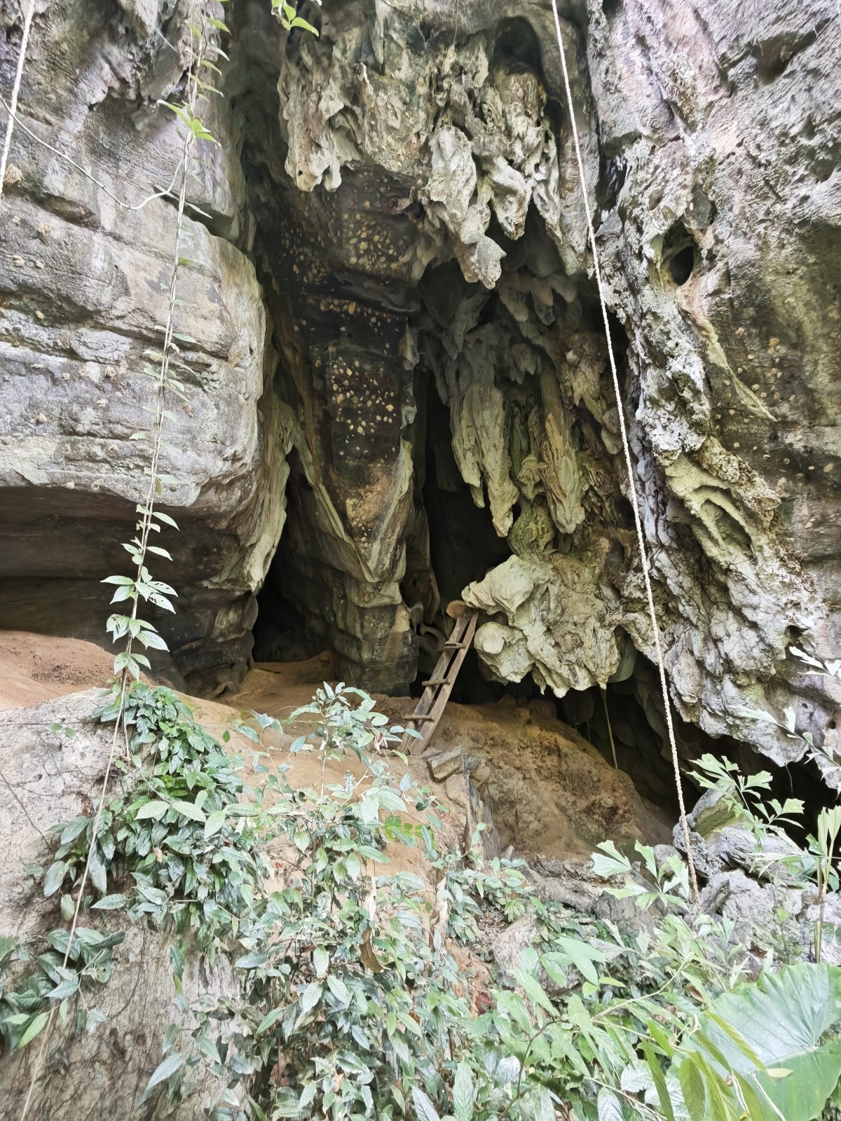Tiger Cave