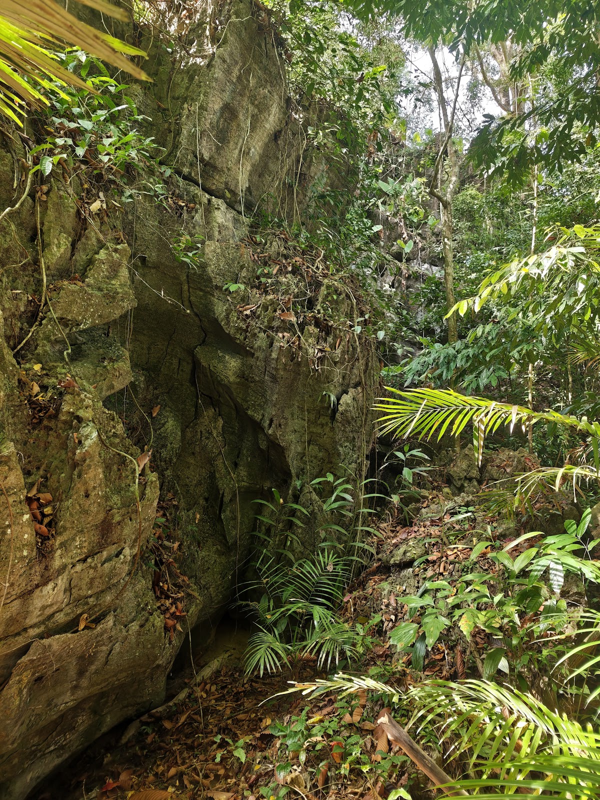 Tiger Cave