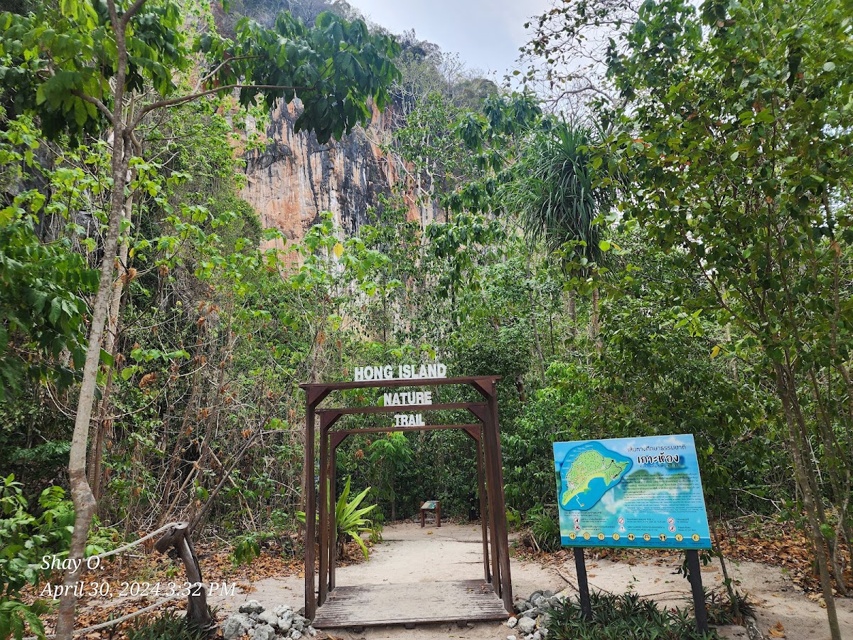 Koh Hong
