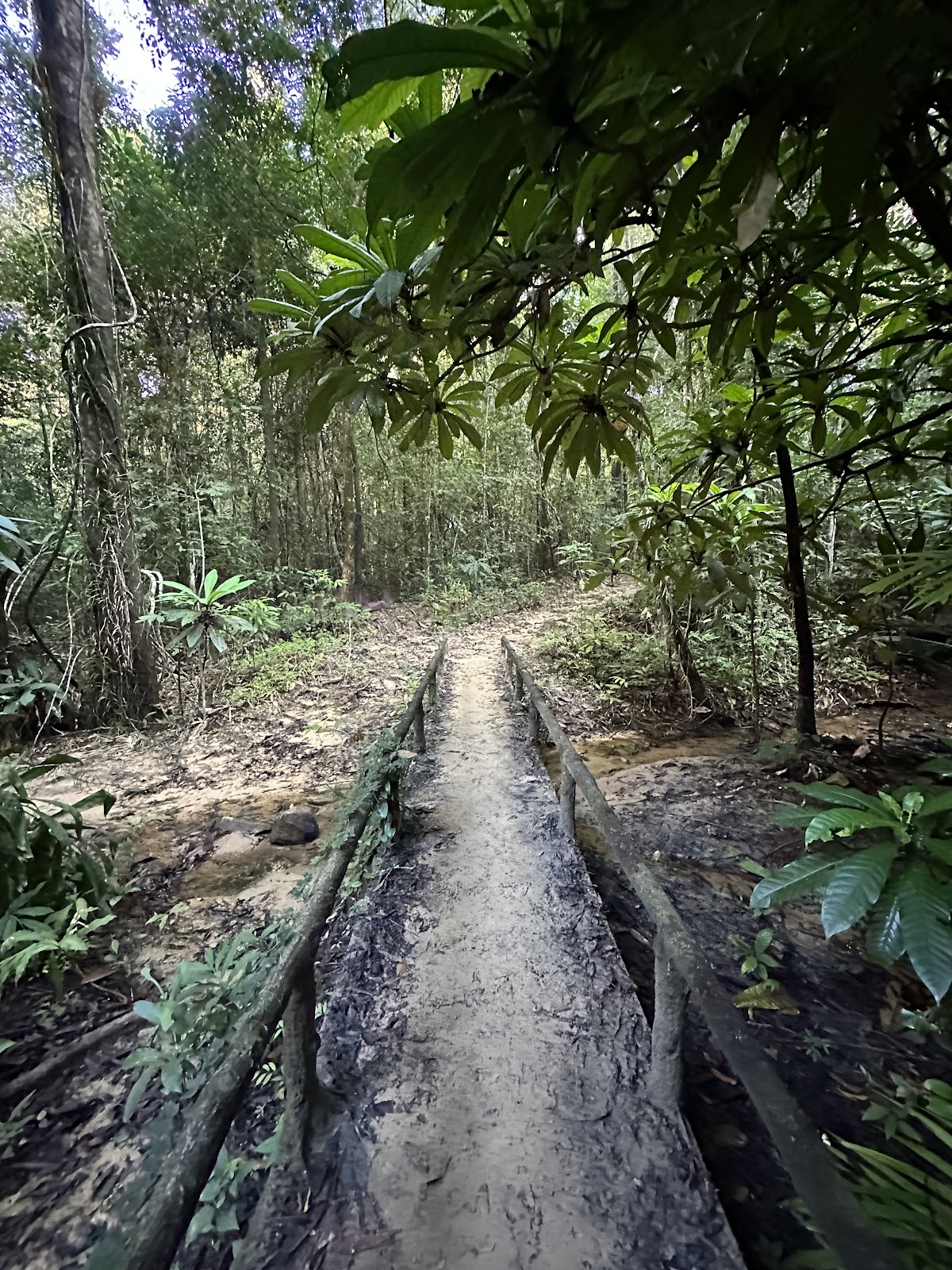 Dragon's Crest (Ngon Nak Nature Trail)