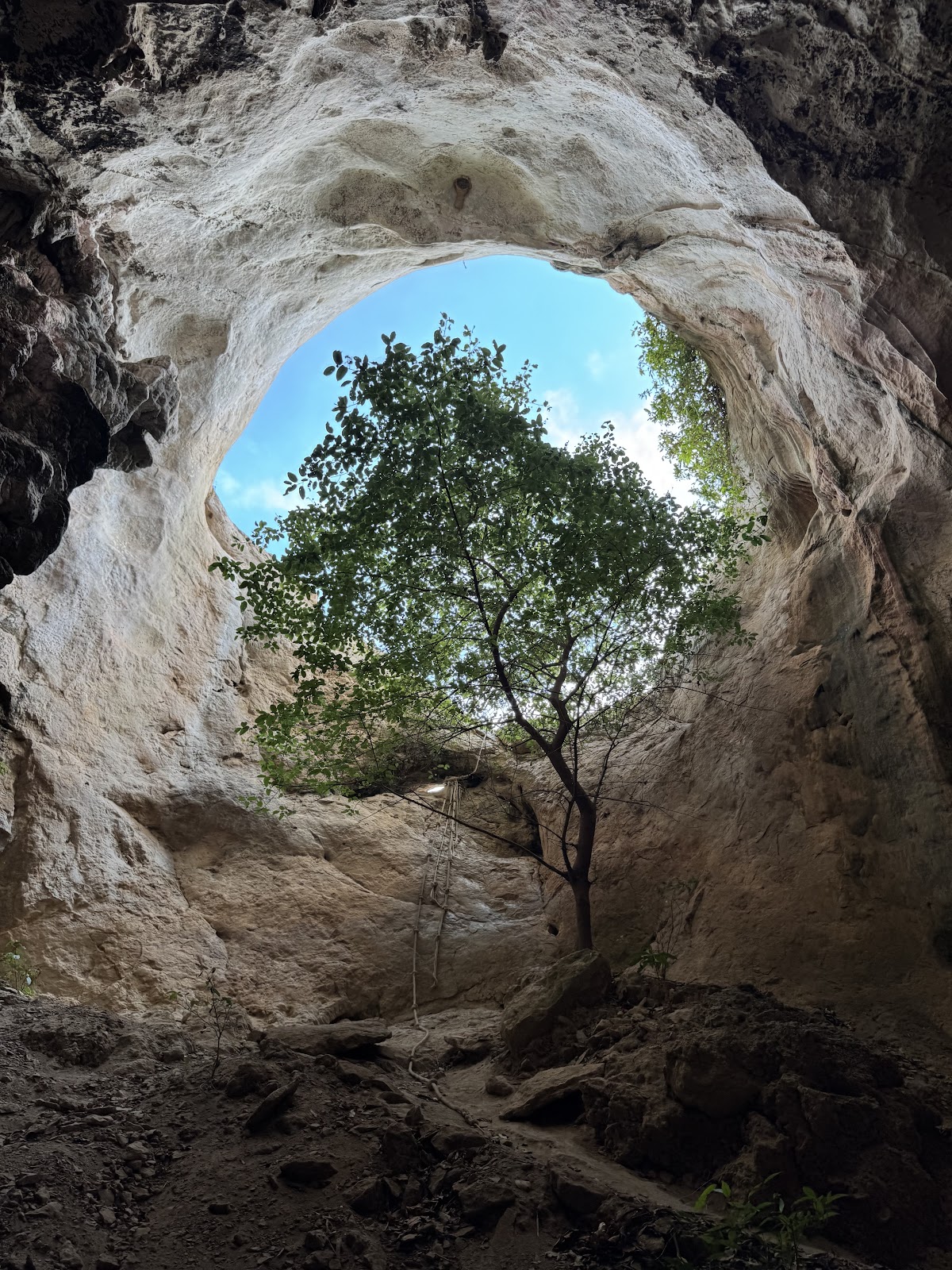 Bat Cave