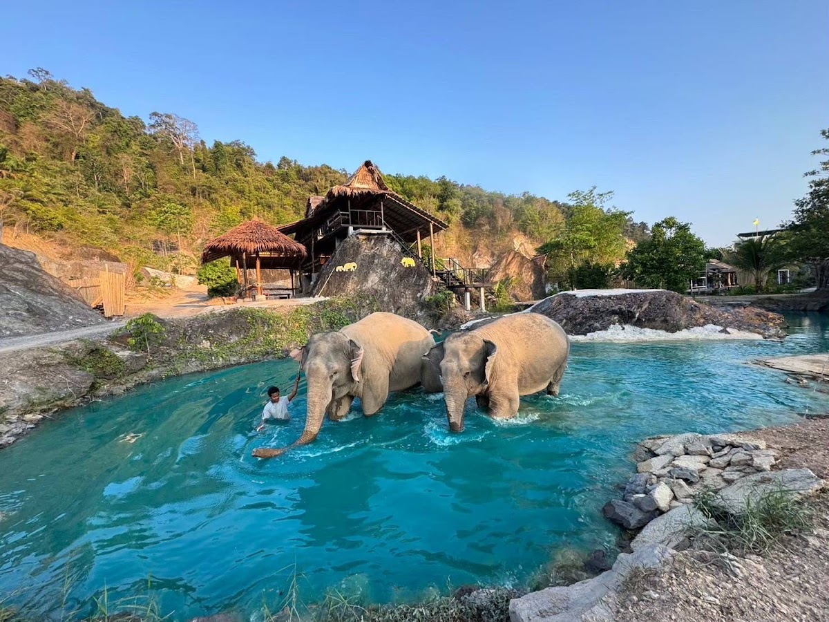 Krabi elephant phu jungle cliff