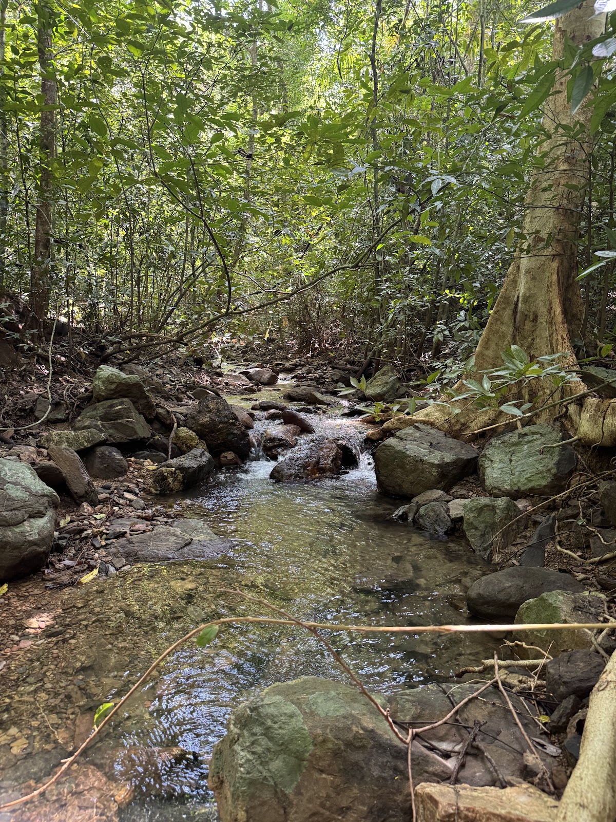 Khlong Chak Waterfall