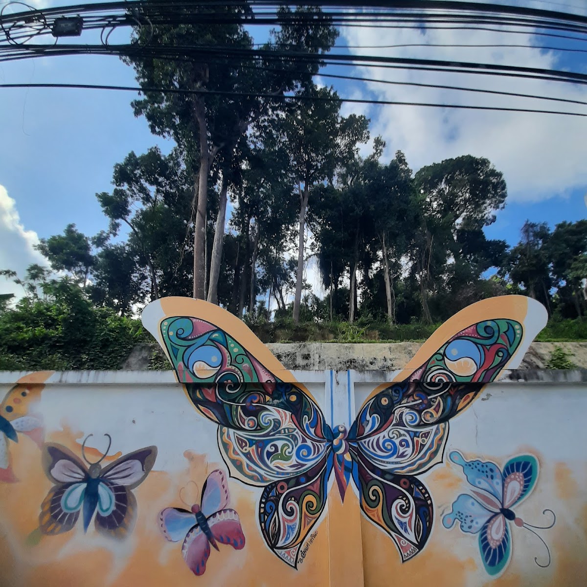 art in the city Krabi