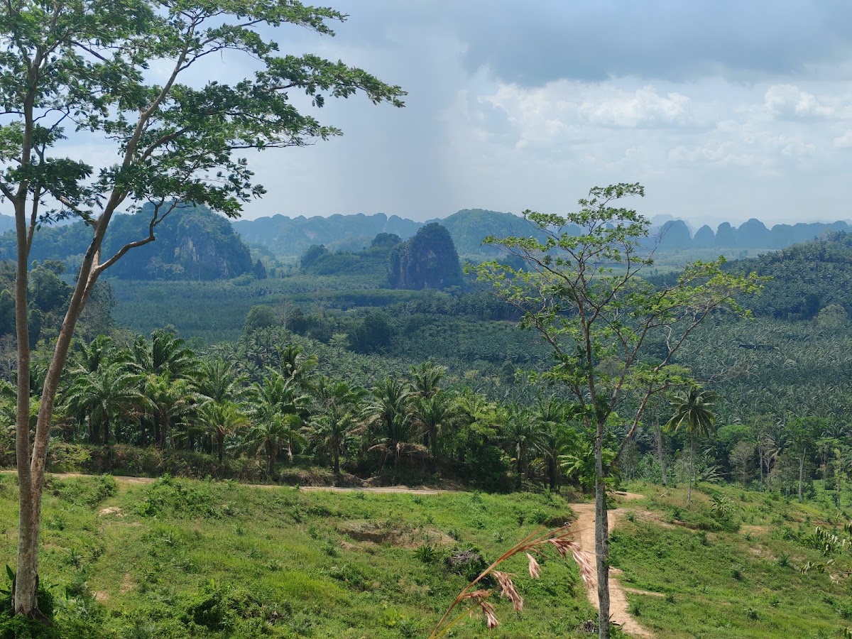 Krabi Dirt Ride Experience