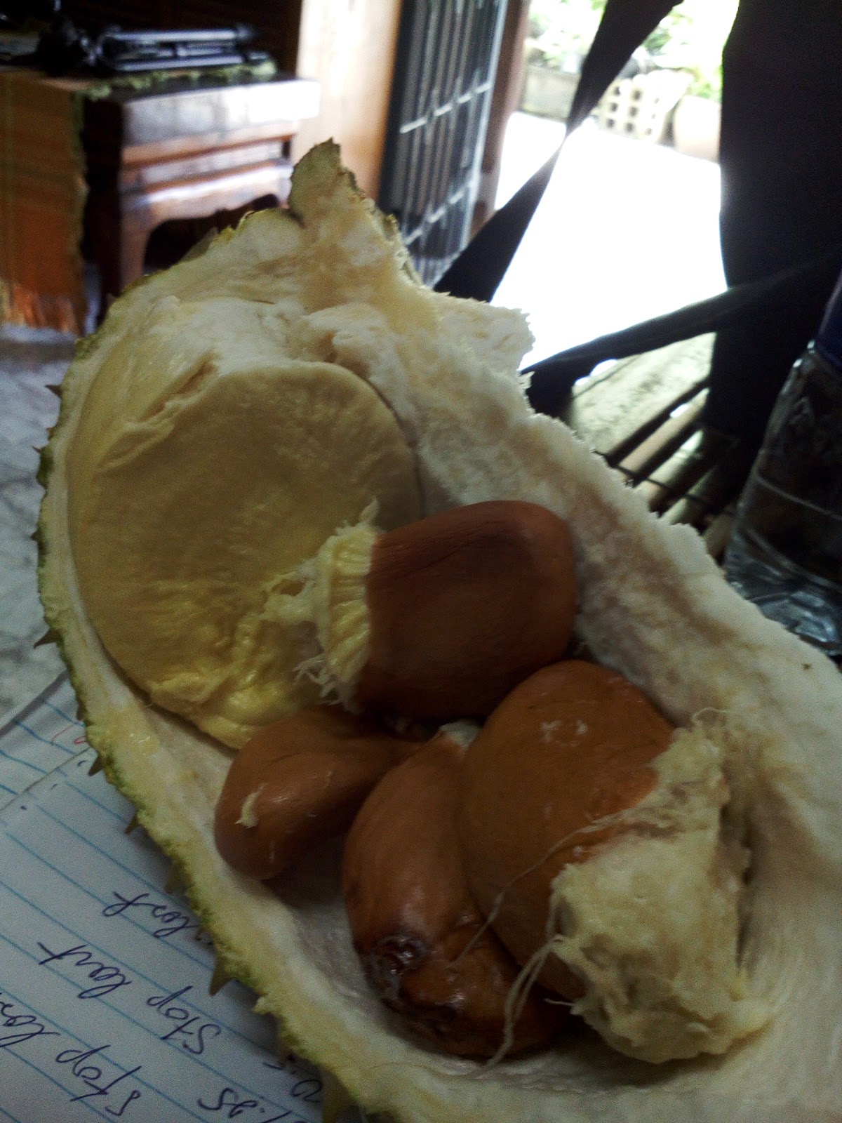 ศูนย์กาโน กระบี่. Gano Krabi