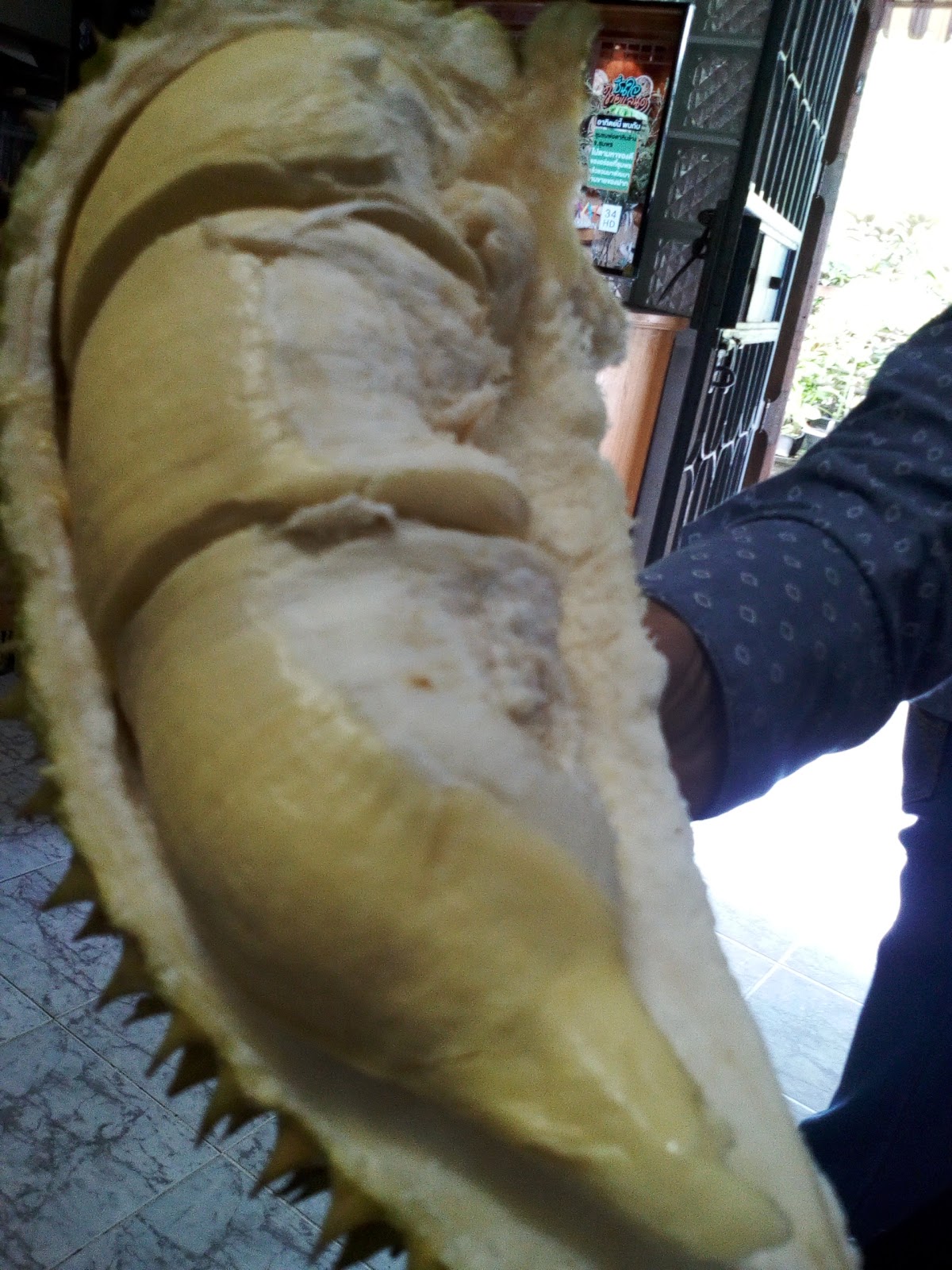 ศูนย์กาโน กระบี่. Gano Krabi