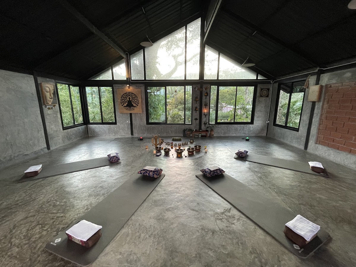 Tree D Yoga Aonang