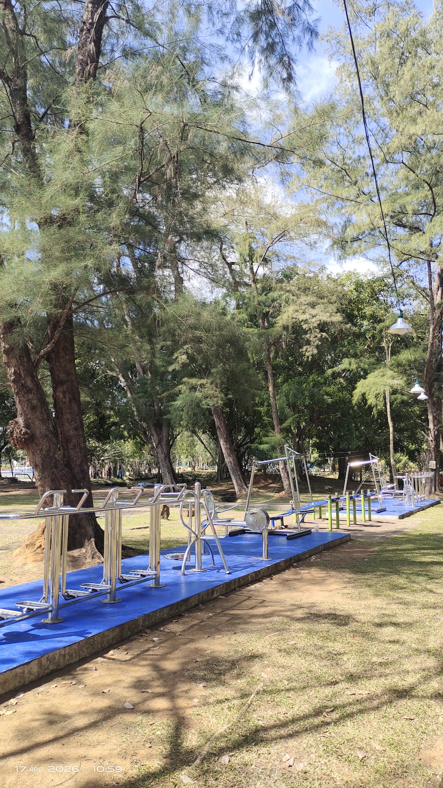 Calisthenics bars