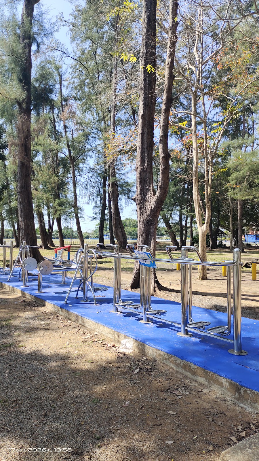 Calisthenics bars