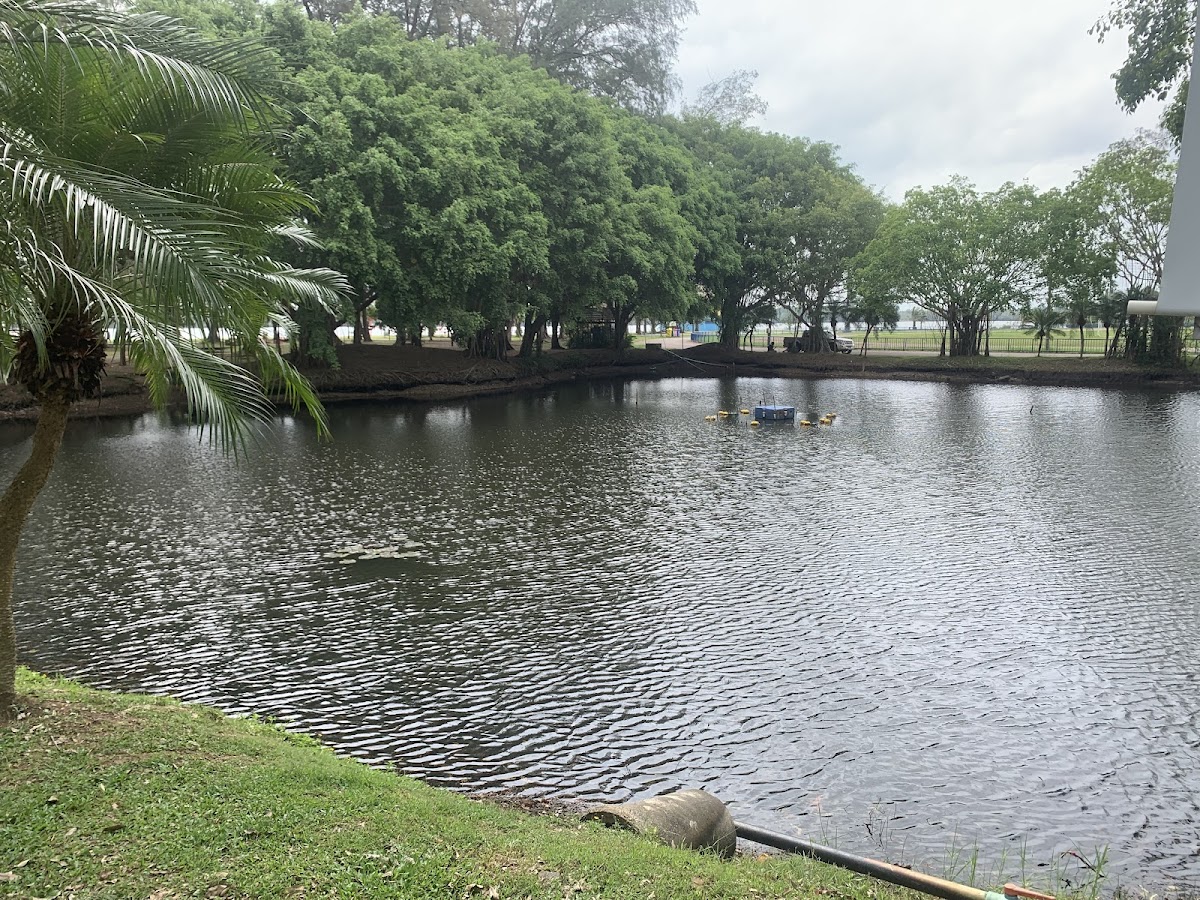 Calisthenics park