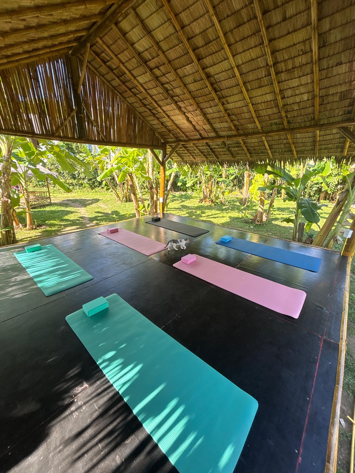 Island Breath Yoga