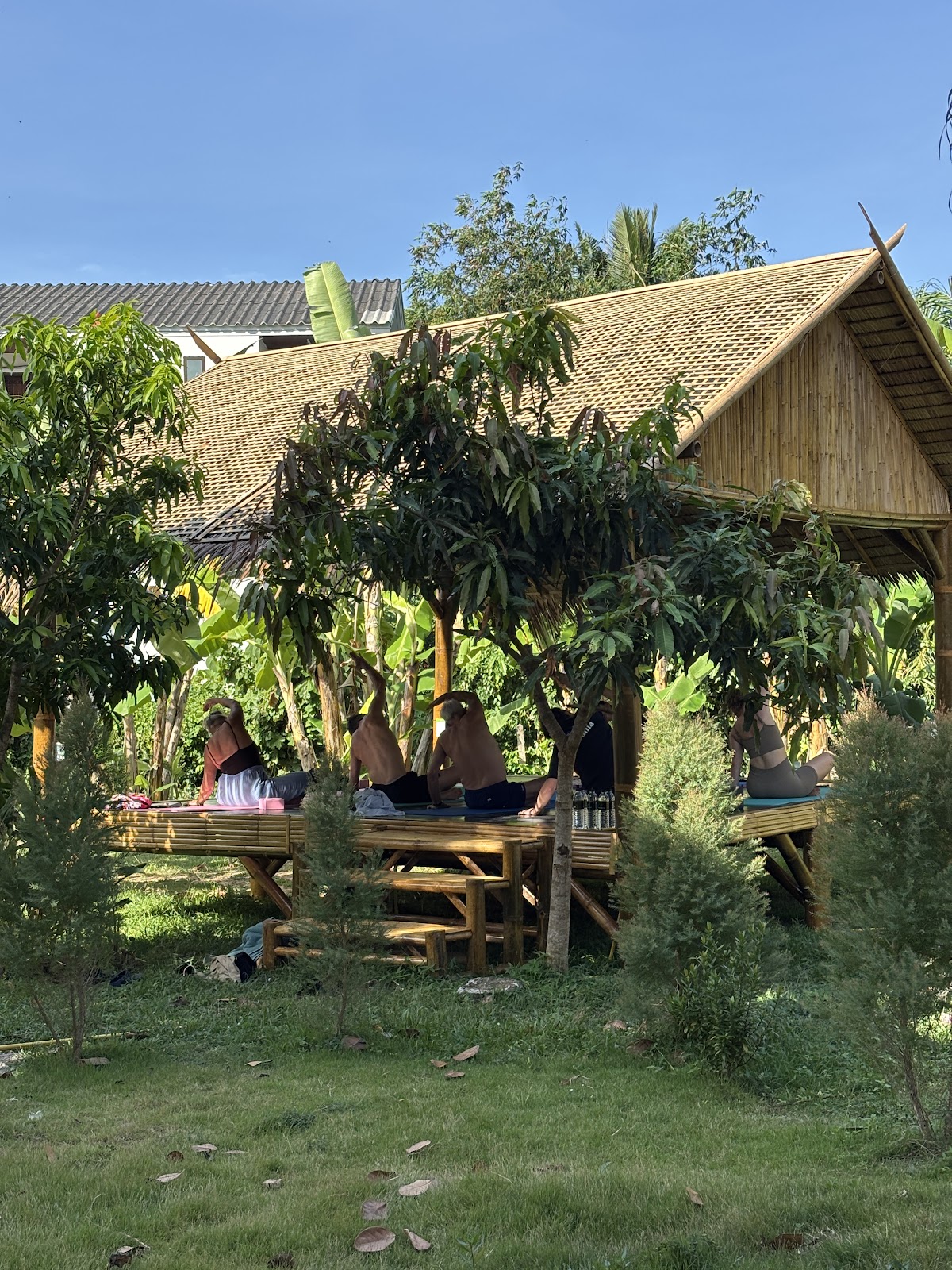 Island Breath Yoga