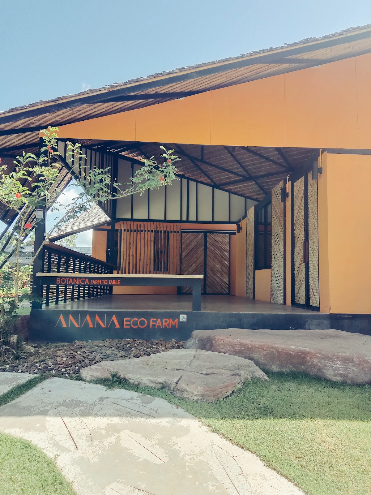 Ashtanga Vinyasa Yoga Krabi By Kru.sa